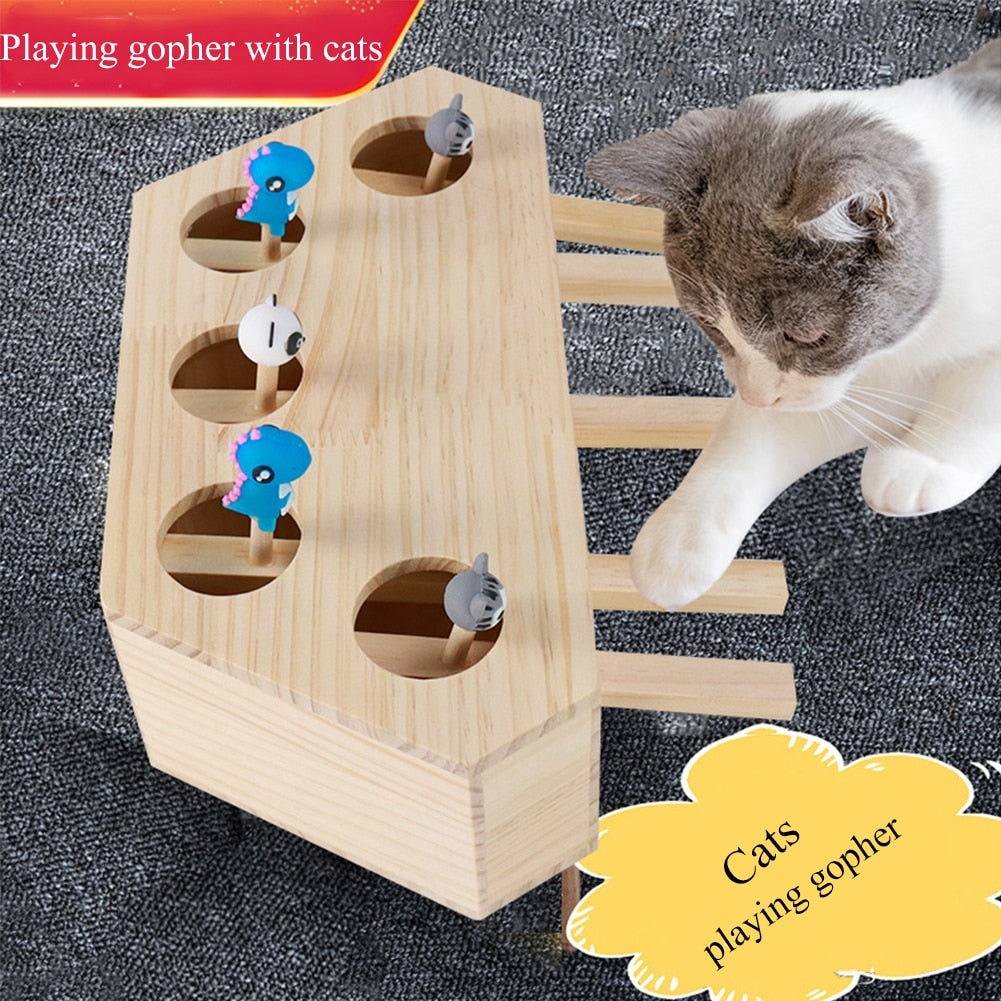 Cat Whack A Mole