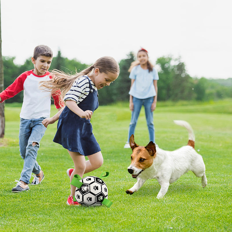 Interactive Dog Soccer Ball